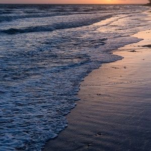 Meet your Posher, Sandy